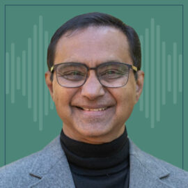The CEO digital Show - Mohan Subramanian - guest